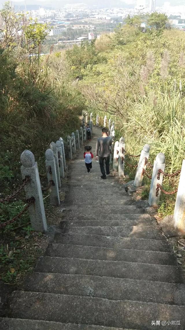 描写风景的成语（描写风景的成语高级感）