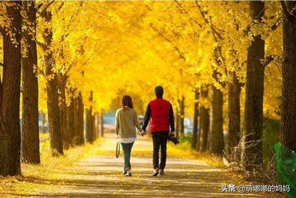 执子之手与子偕老是什么意思